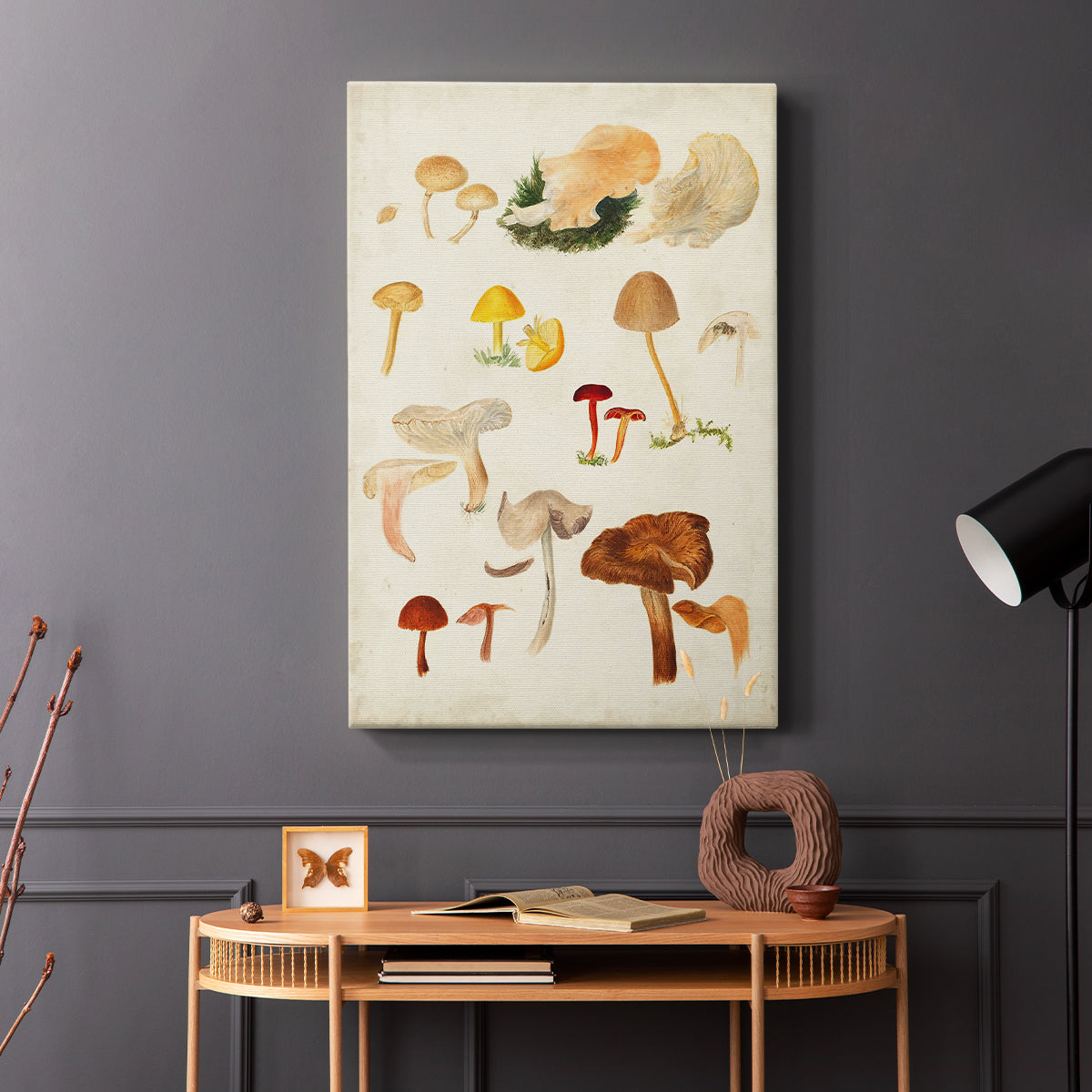 Mushroom Species XII - Canvas Art Print