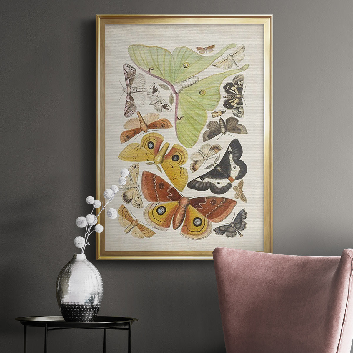 Antique Moths I - Modern Framed Canvas Print