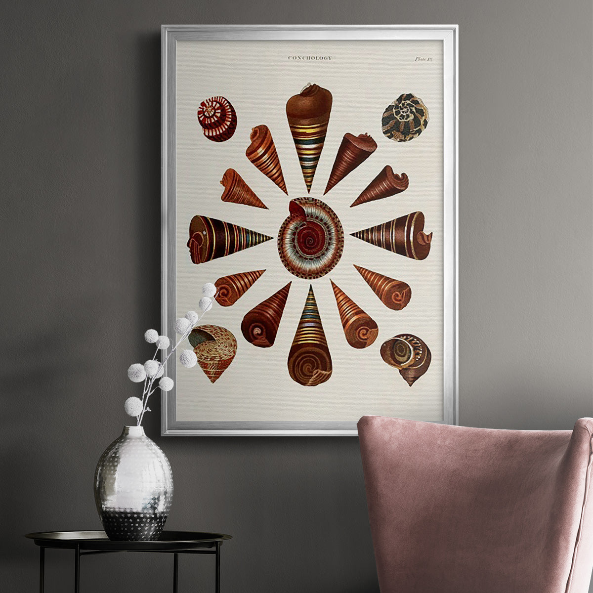 Spiral Shell Formation IV - Modern Framed Canvas Print