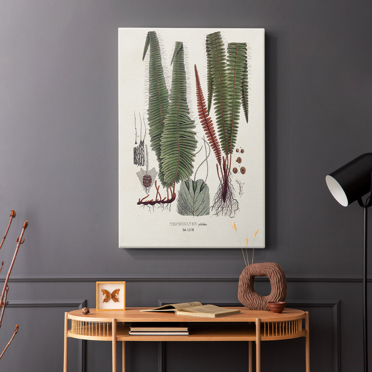 Botanical Society Ferns IV - Canvas Art Print