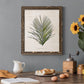 Palm Botanical I - Premium Canvas Framed in Barnwood - Ready to Hang