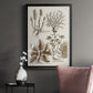 Sepia Botanical Journal VII - Modern Framed Canvas Print