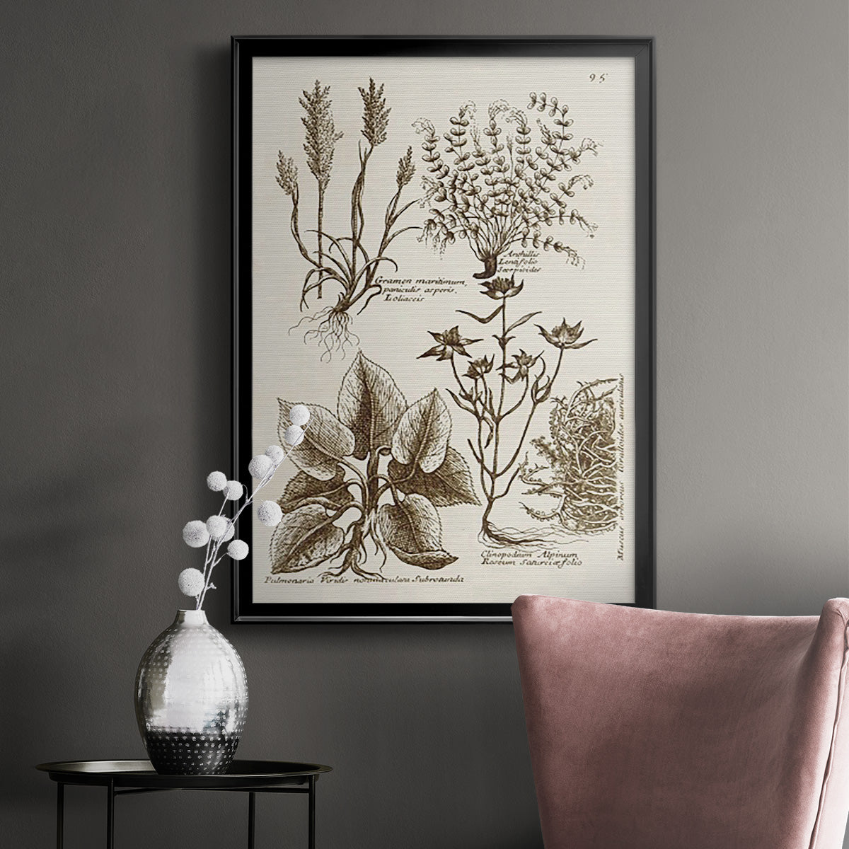 Sepia Botanical Journal VII - Modern Framed Canvas Print