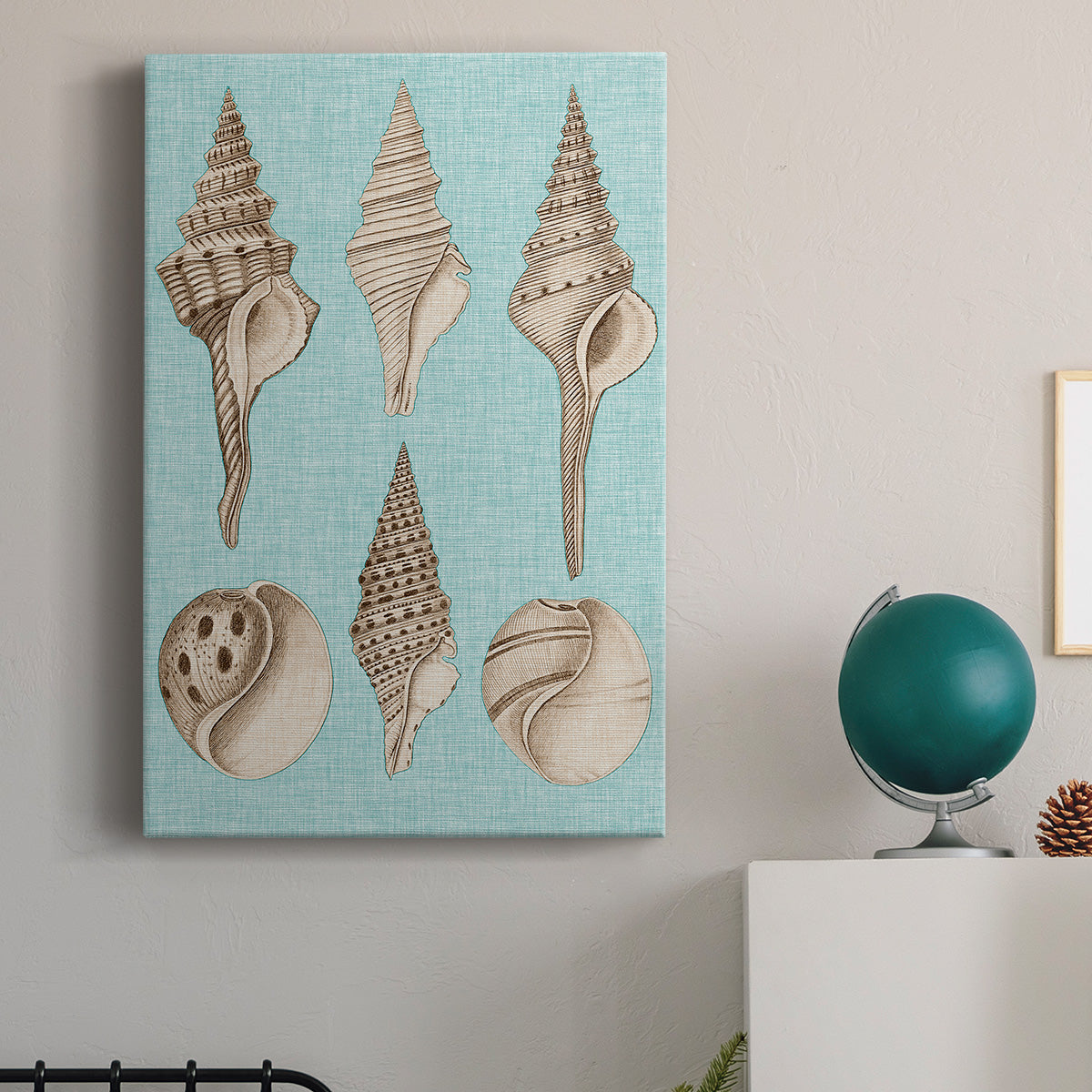 Sepia & Aqua Shells II - Canvas Art Print