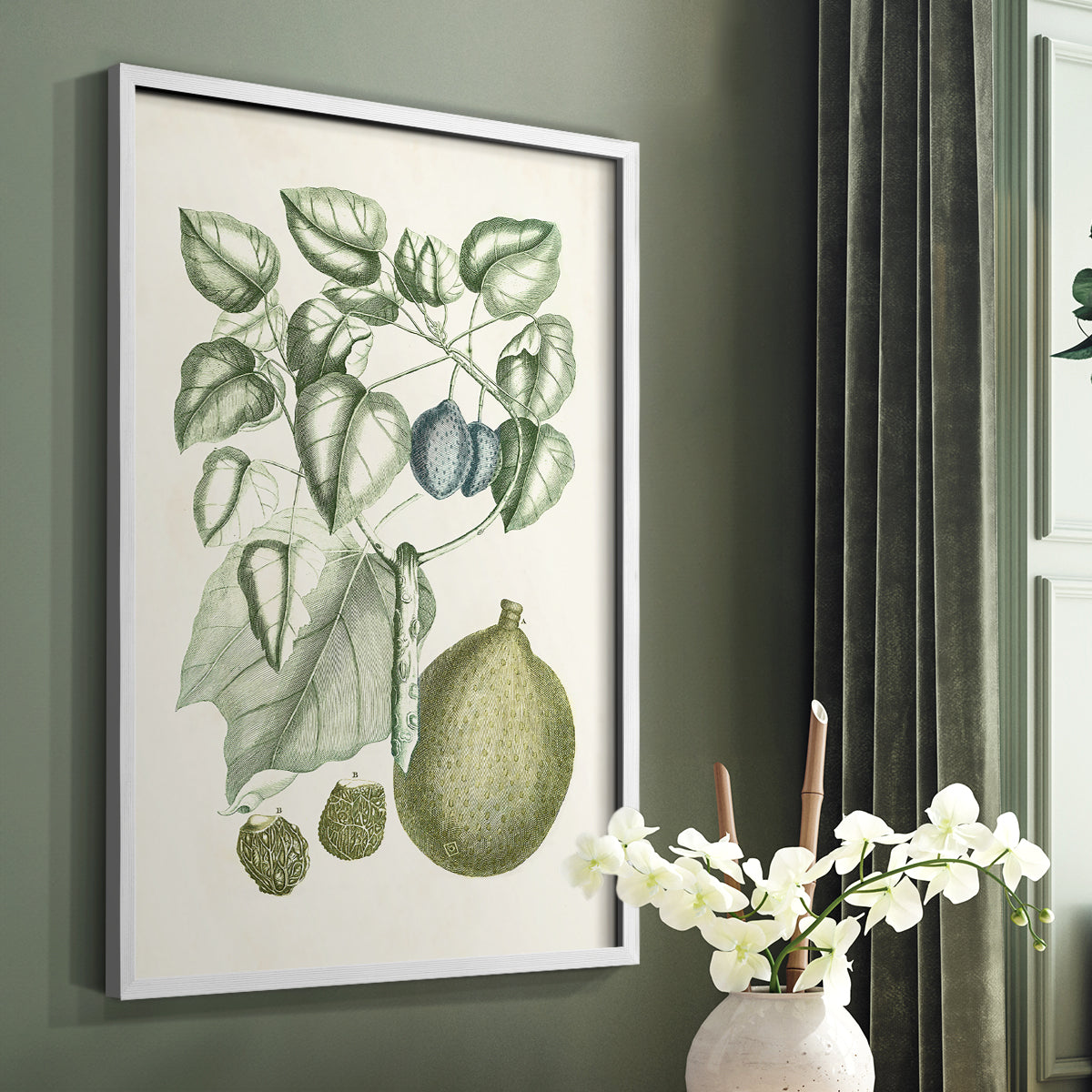 Buchoz Tropicals VIII - Restickable Framed Art Print