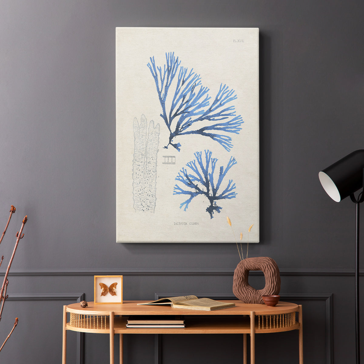 Blue Marine Algae V - Canvas Art Print