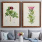 Set of two maple barnwood framed canvas prints depicting paired vintage botanical plate illustrations with peonies thistles leafy stems and archival cream paper above a sofa in a contemporary living room.