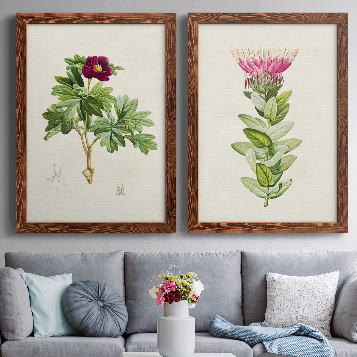 Set of two maple barnwood framed canvas prints depicting paired vintage botanical plate illustrations with peonies thistles leafy stems and archival cream paper above a sofa in a contemporary living room.
