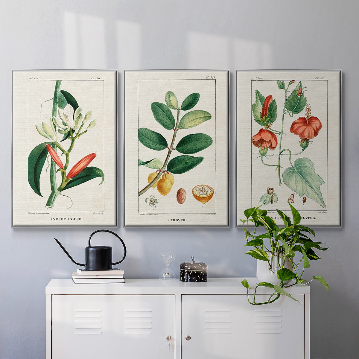 Turpin Tropical Botanicals IV - Framed Premium Gallery Wrapped Canvas L Frame 3 Piece Set - Ready to Hang