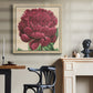Peony Collection V - Canvas Art Print
