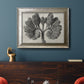 Blossfeldt Botanical VIII Premium Framed Canvas- Ready to Hang