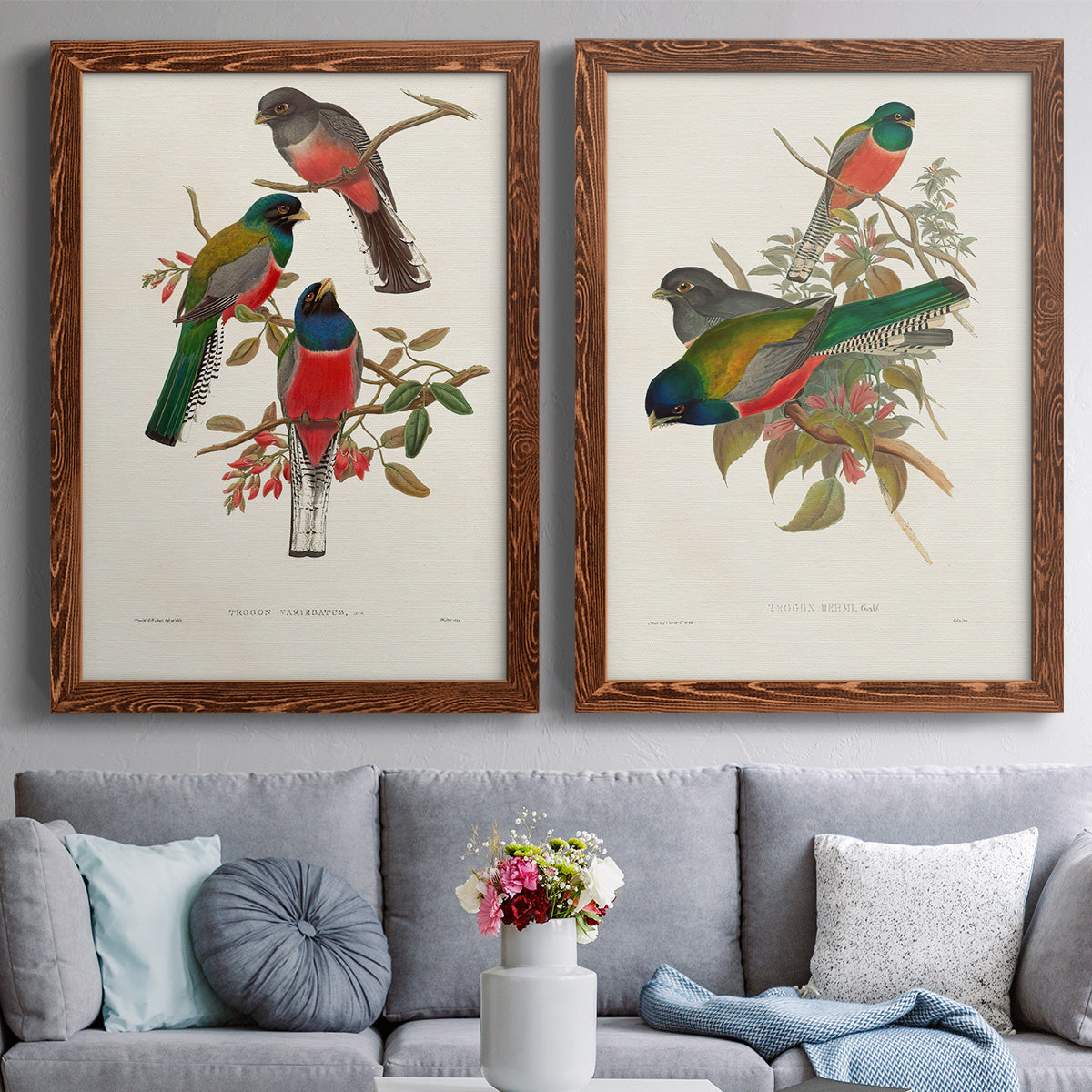 Elegant Trogons IX - Premium Framed Canvas 2 Piece Set - Ready to Hang