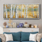 Birch Path II - Floater Framed Canvas Print