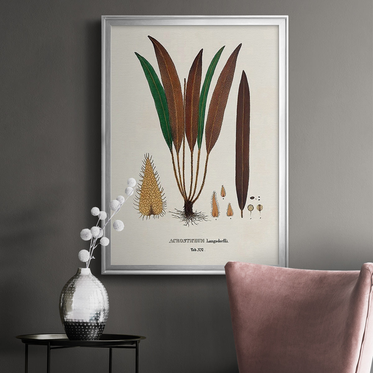 Botanical Society Ferns I - Modern Framed Canvas Print
