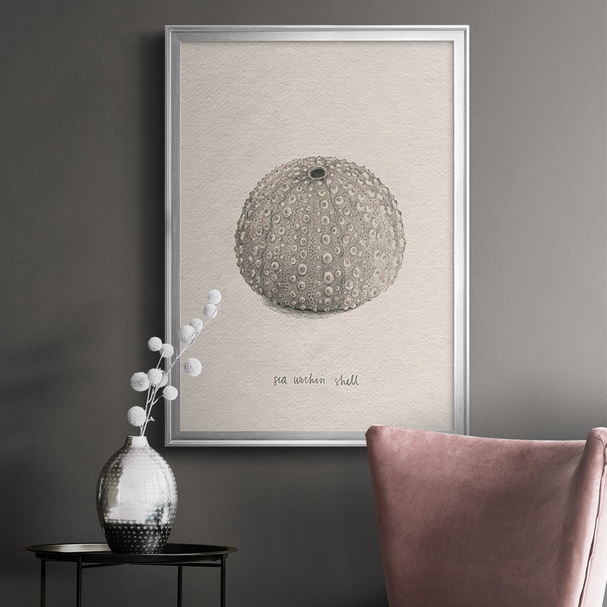 Shore Treasure Study I - Modern Framed Canvas Print