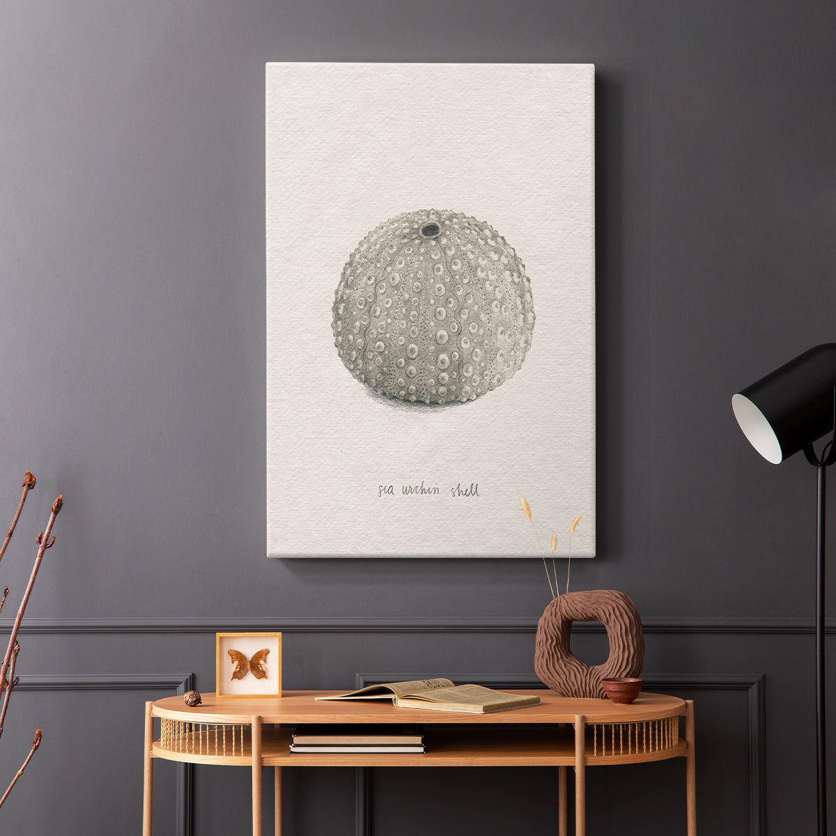 Shore Treasure Study I - Canvas Art Print