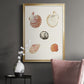 Pastel Knorr Shells VIII - Modern Framed Canvas Print