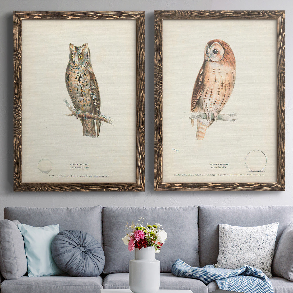 Scops- Eared Owl - Premium Framed Canvas 2 Piece Set - Ready to Hang