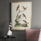 Antique Birds in Nature IV - Modern Framed Canvas Print