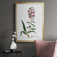 Rose Botanical I - Modern Framed Canvas Print