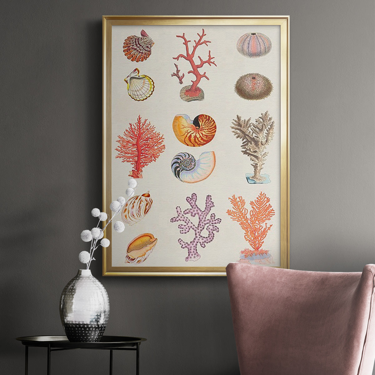 Coral & Shell Collage I -  Framed Canvas Print