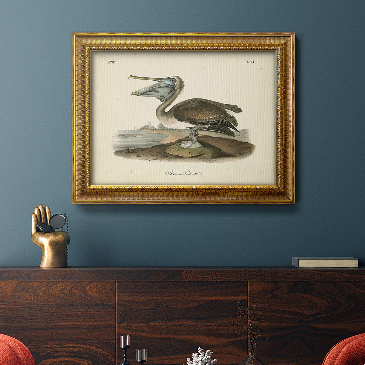 Audubons Brown Pelican - Ornate Framed Canvas Print