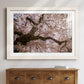 Spring's Arrival - Barnwood Framed Art Print