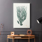 Antique Coastal Coral VIII - Canvas Art Print