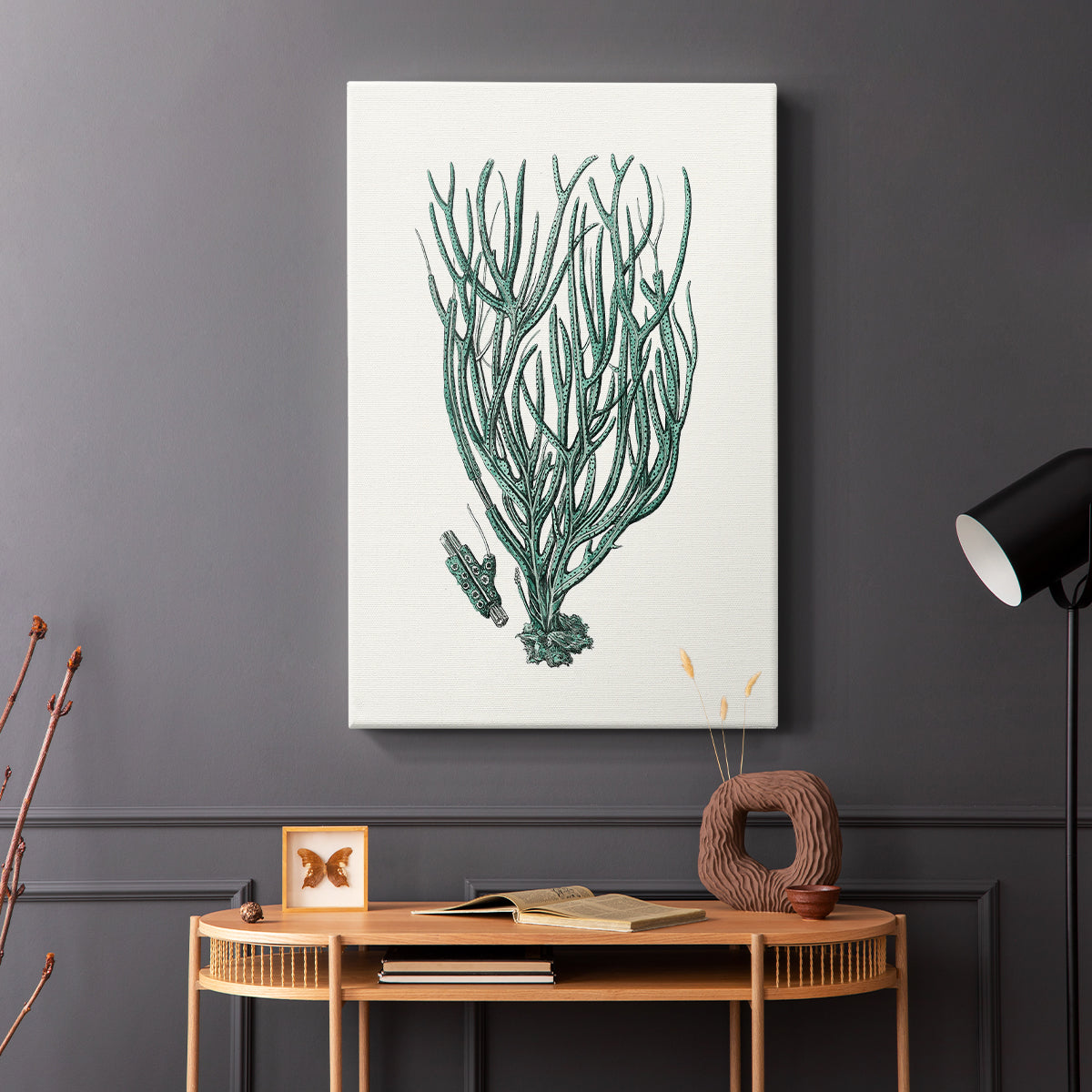 Antique Coastal Coral VIII - Canvas Art Print