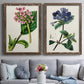 Antique Floral Folio III - Premium Framed Canvas 2 Piece Set - Ready to Hang