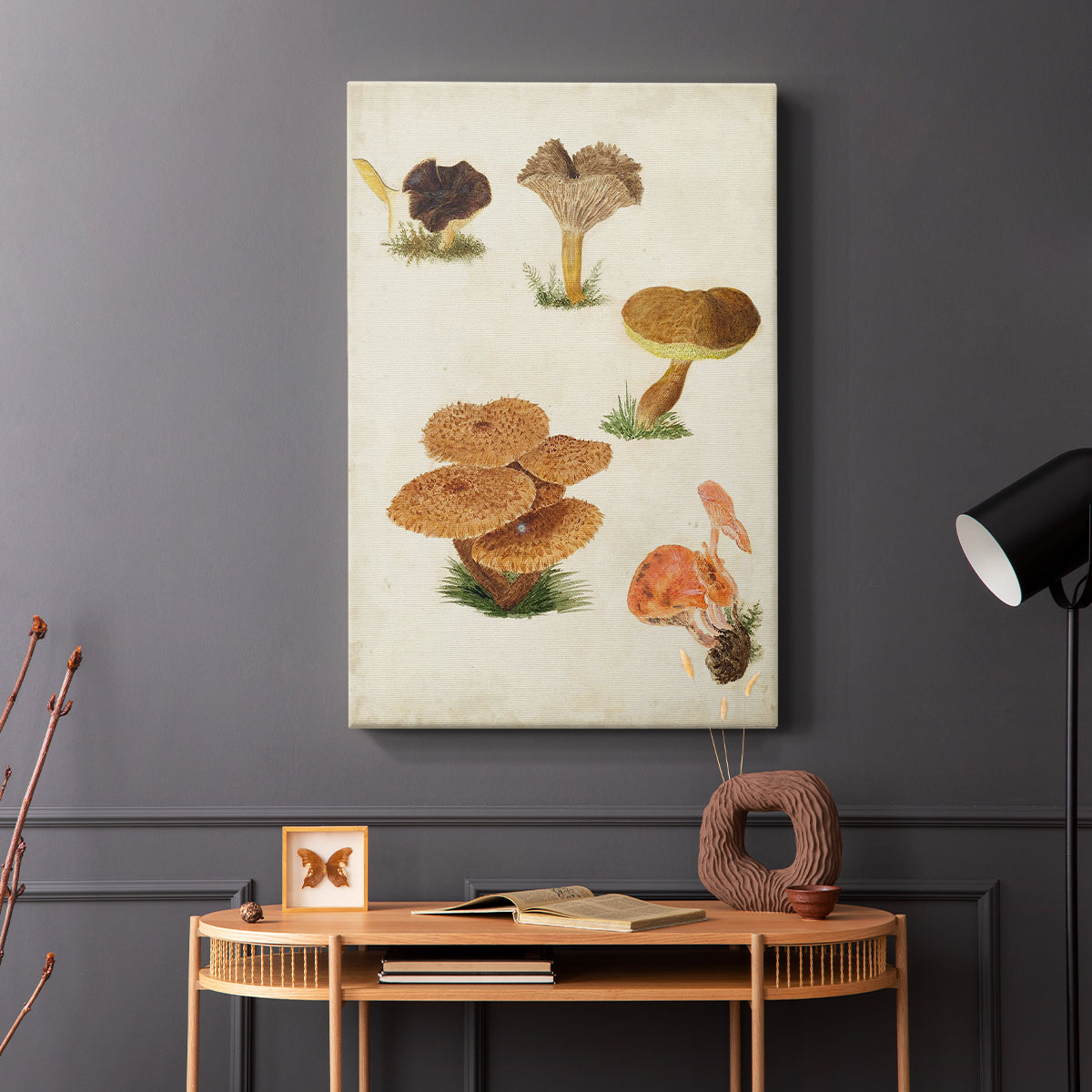 Mushroom Species V - Canvas Art Print