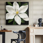 Midnight Magnolia I - Canvas Art Print