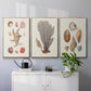 Knorr Shells & Coral I - Framed Premium Gallery Wrapped Canvas L Frame 3 Piece Set - Ready to Hang