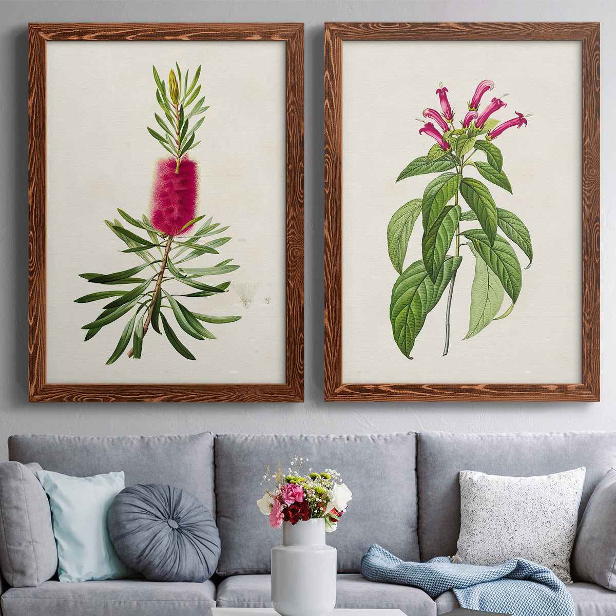 Set of two maple barnwood framed canvas prints depicting paired vintage botanical plate illustrations with peonies thistles leafy stems and archival cream paper above a sofa in a contemporary living room.