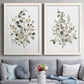 Neutral Eucalyptus I - Premium Framed Canvas 2 Piece Set - Ready to Hang