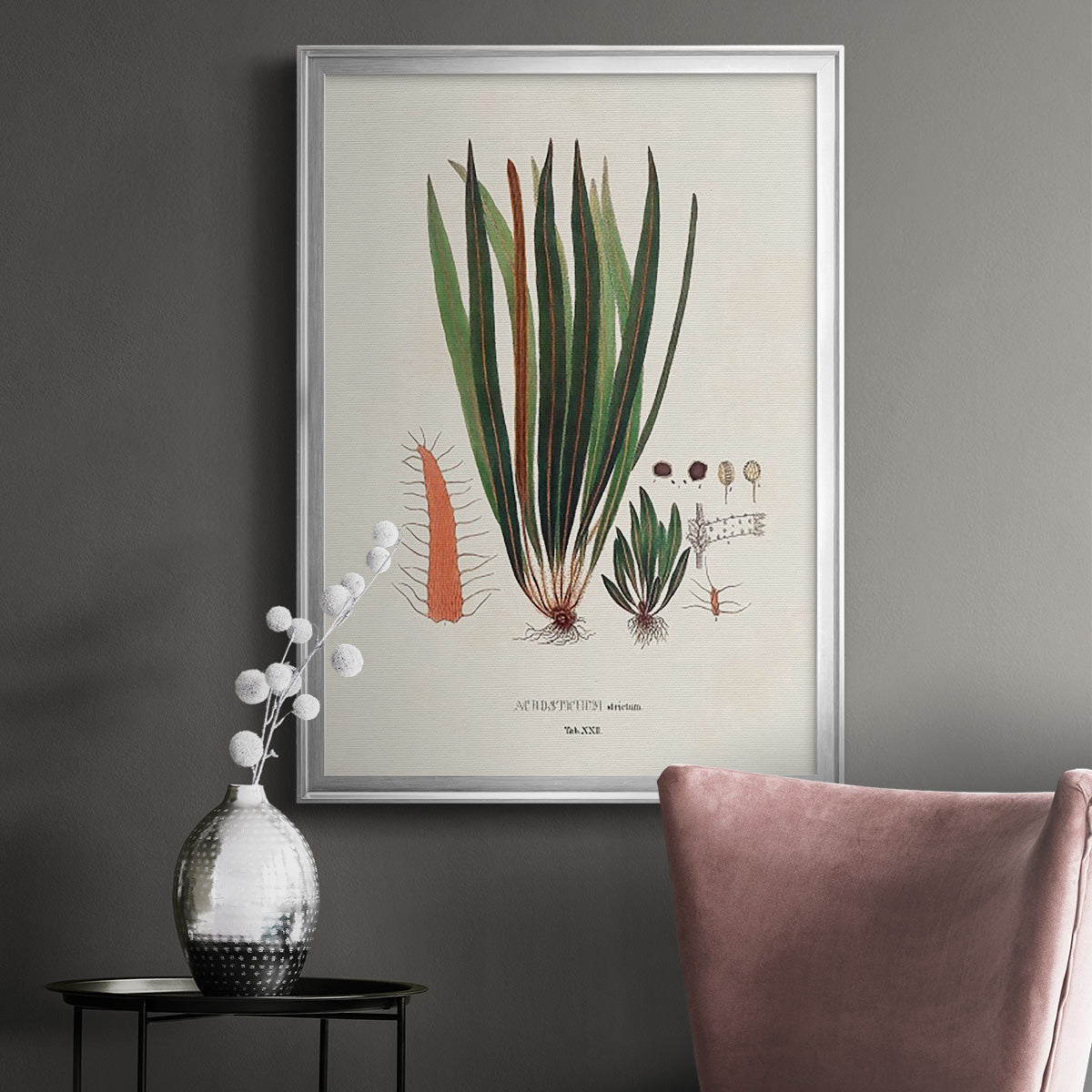 Botanical Society Ferns V - Modern Framed Canvas Print