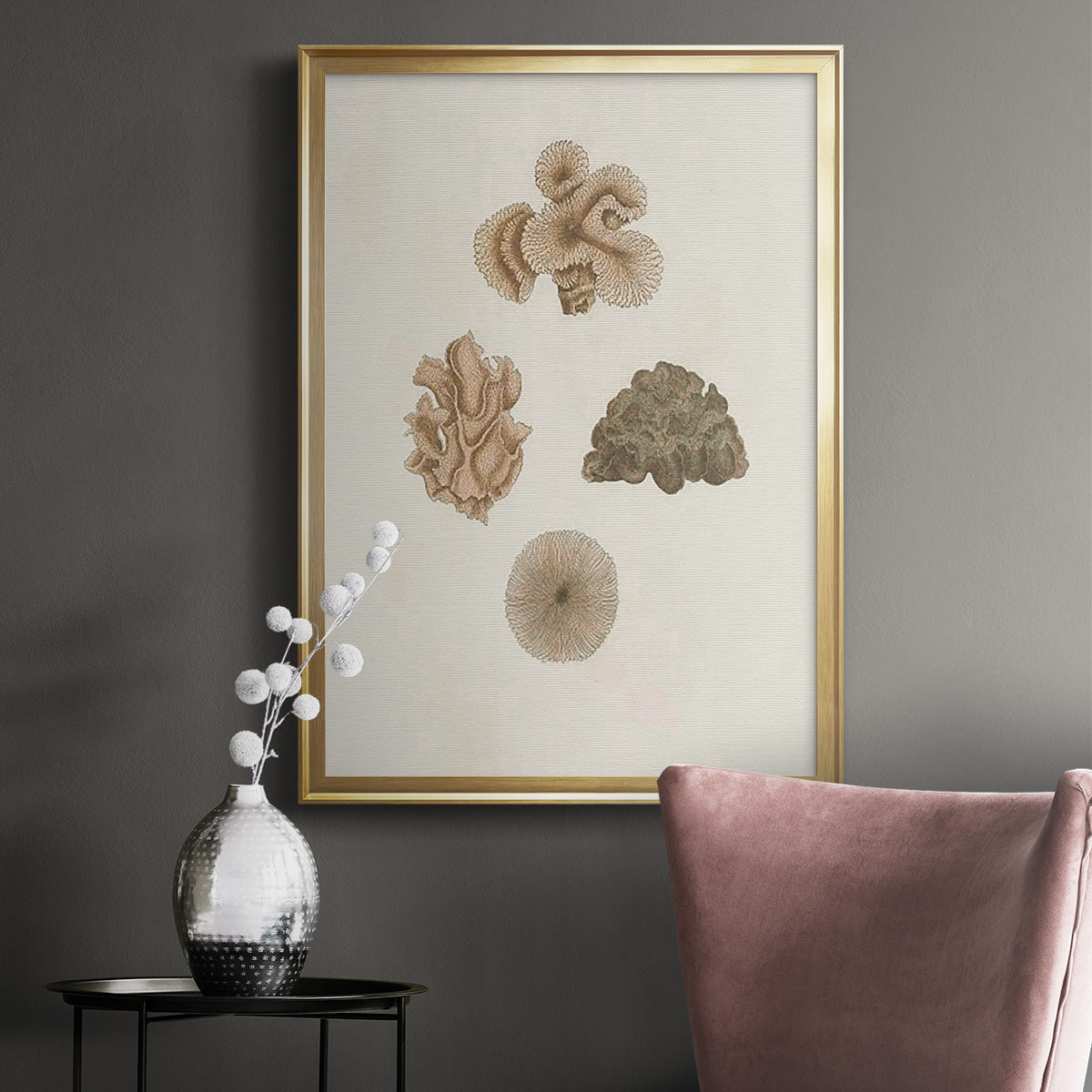 Knorr Shells & Coral VIII - Modern Framed Canvas Print