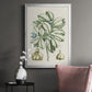 Buchoz Tropicals IX - Modern Framed Canvas Print