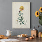 Traditional Botanical III Premium Gallery Wrapped Canvas - Ready to Hang