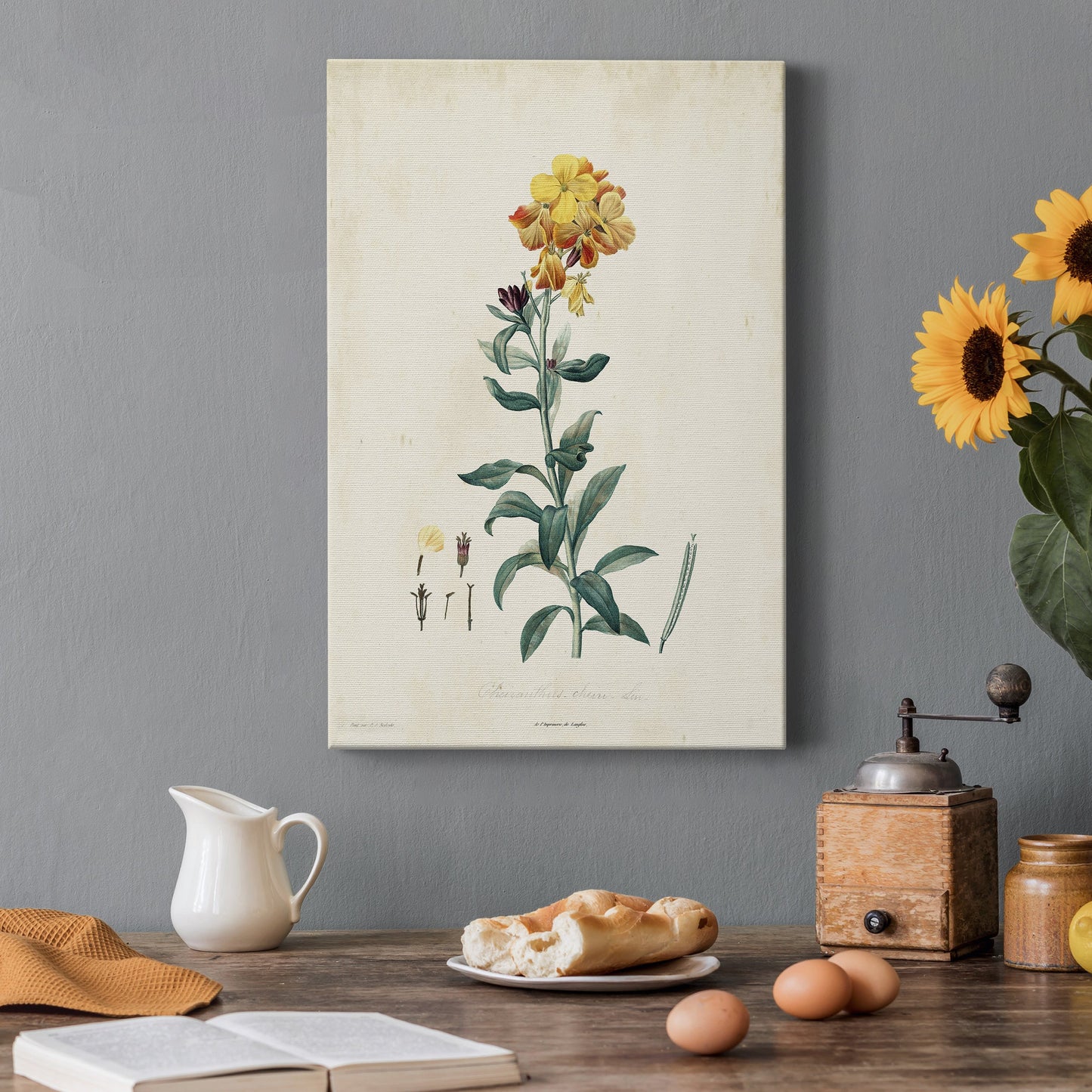 Traditional Botanical III Premium Gallery Wrapped Canvas - Ready to Hang