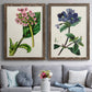 Set of two walnut barnwood framed canvas prints depicting paired antique botanical plate illustrations with detailed blossoms, leaves, roots, and archival cream grounds above a sofa in a contemporary living room.