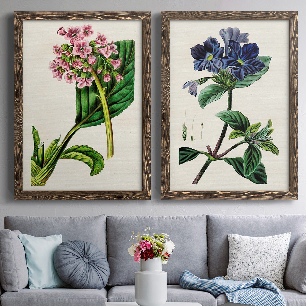 Set of two walnut barnwood framed canvas prints depicting paired antique botanical plate illustrations with detailed blossoms, leaves, roots, and archival cream grounds above a sofa in a contemporary living room.