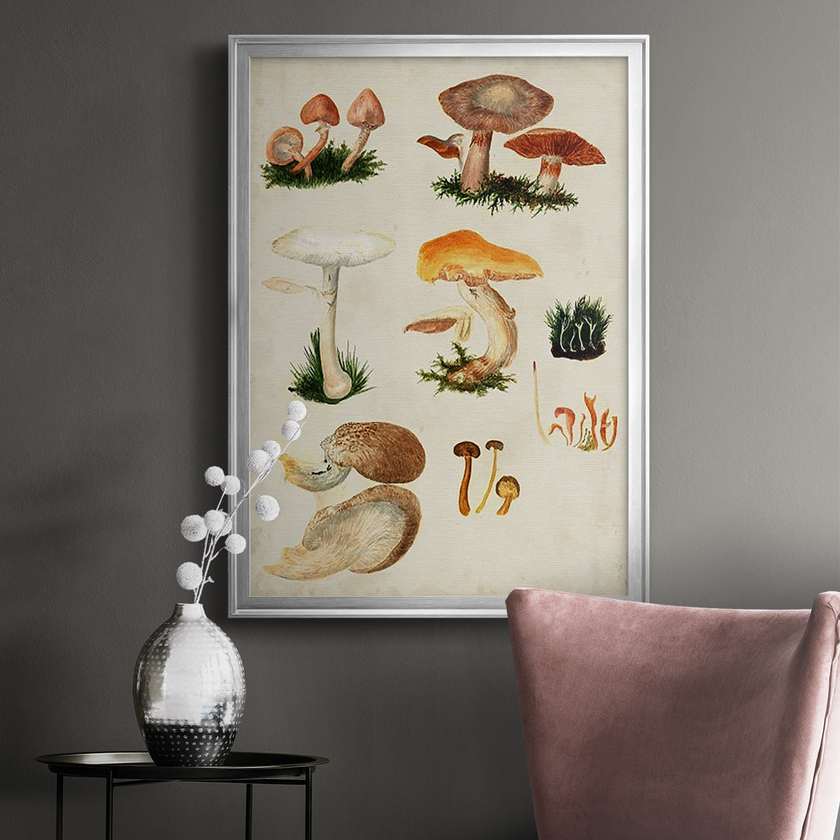 Mushroom Species IV - Modern Framed Canvas Print
