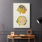 Yellow & Grey Fish IV - Canvas Art Print