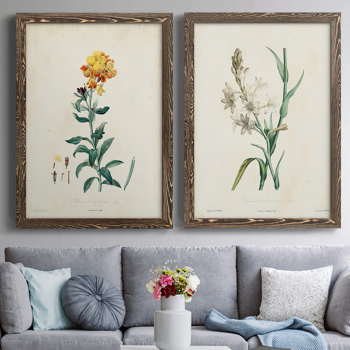 Traditional Botanical III - Premium Framed Canvas 2 Piece Set - Ready to Hang