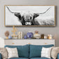 Highland Longhorn - Floater Framed Canvas Print