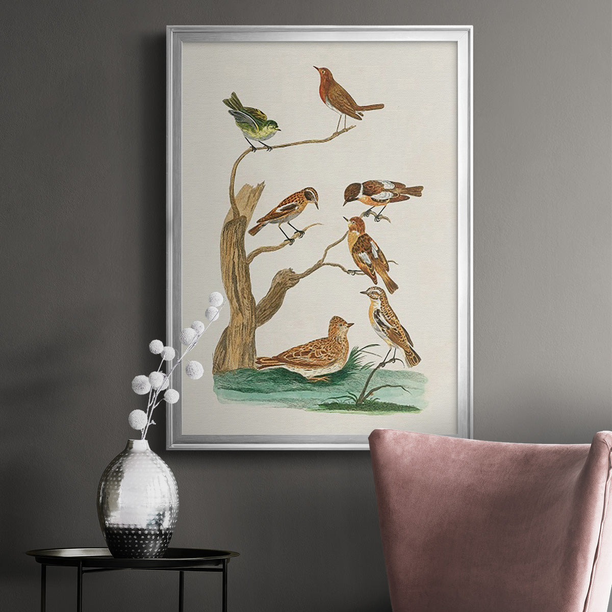 Antique Birds in Nature III - Modern Framed Canvas Print