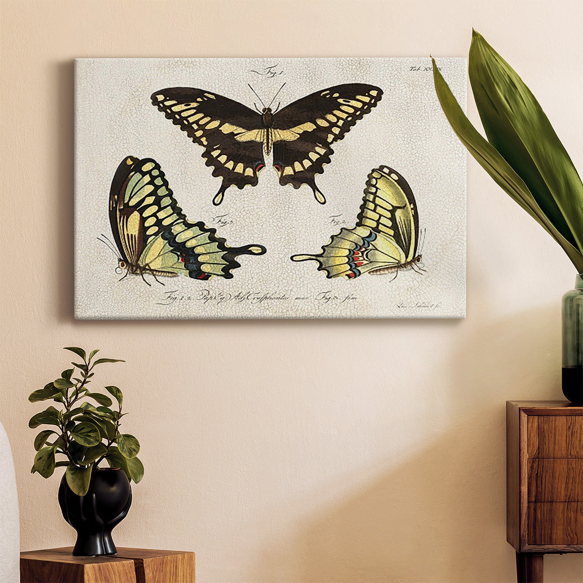 Crackled Butterflies I Premium Gallery Wrapped Canvas - Ready to Hang