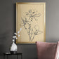 Magnolia Sketch II - Modern Framed Canvas Print