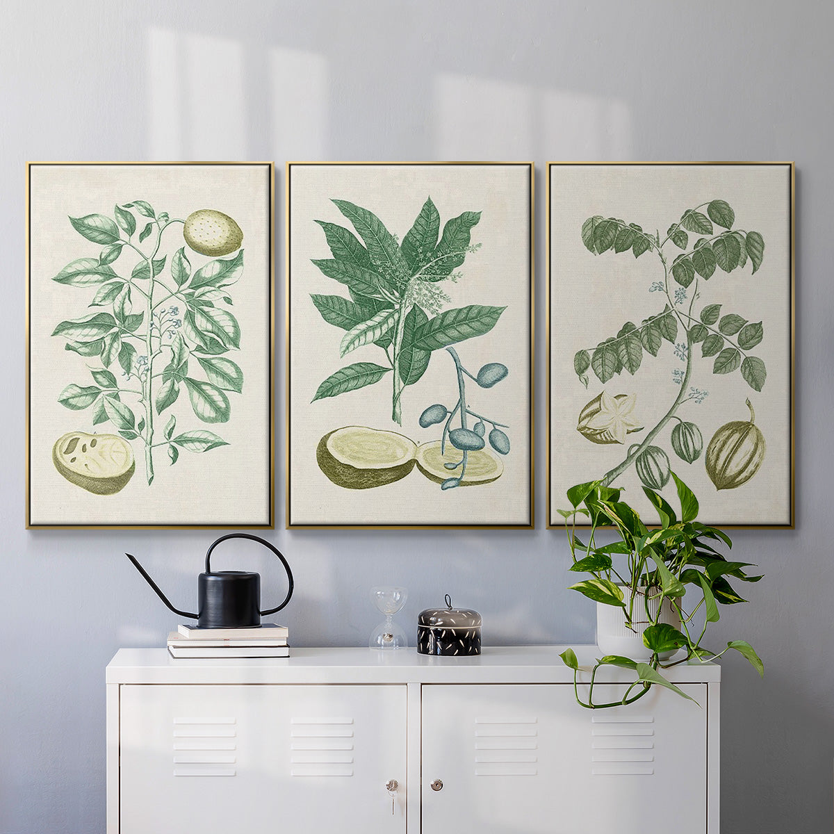 Buchoz Tropicals II - Floater Framed Canvas Set